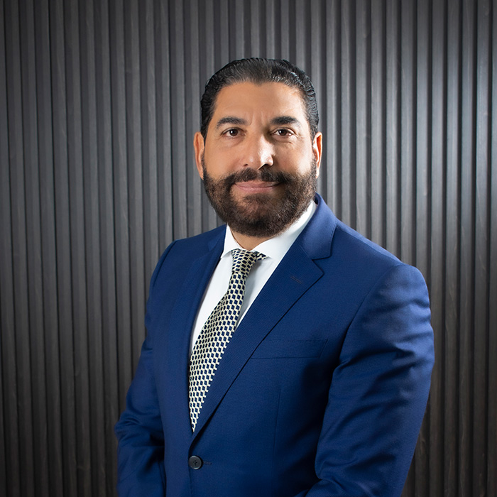 Francis Mateo, 1er Vicepresidente
